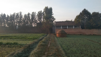 Agricultural Land for Sale in Fateh Jang, Punjab, Pakistan