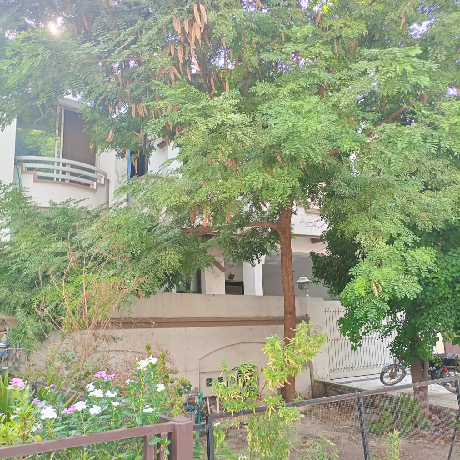 House for Sale in G-13 Islamabad, Triple Story (35×70)